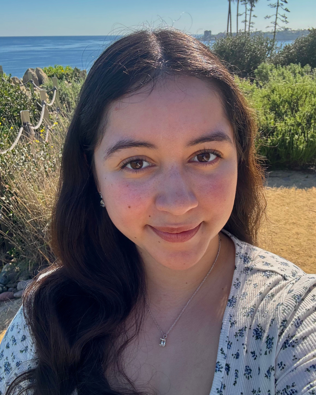 Website Updates Portrait